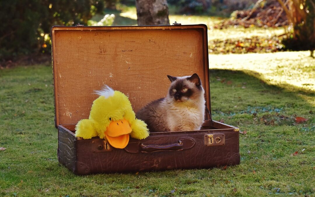 Traveling With Pets ~ Your Furry Friend On The Go:…